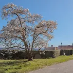 Apartmán A Ca' Di Chiara E Fabio - Panoramica Maggiore *