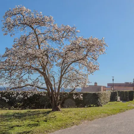 Apartamento A Ca' Di Chiara E Fabio - Panoramica Maggiore *